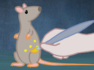 Animationsfilm Tierversuch (6 min.)